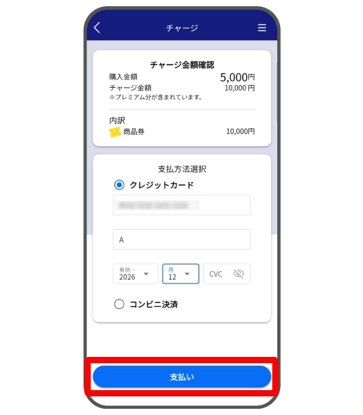 支払い実行画面